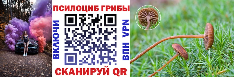 Псилоцибиновые грибы ЛСД  mega вход  Никольское 